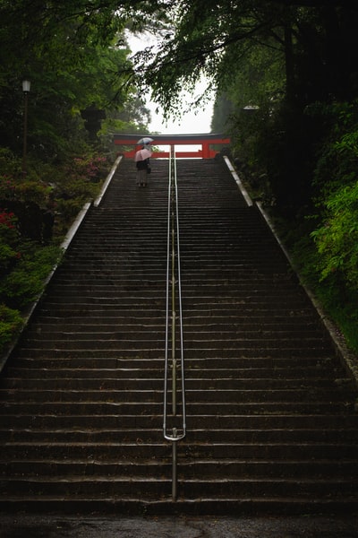 Between the green trees red ash the stairs
